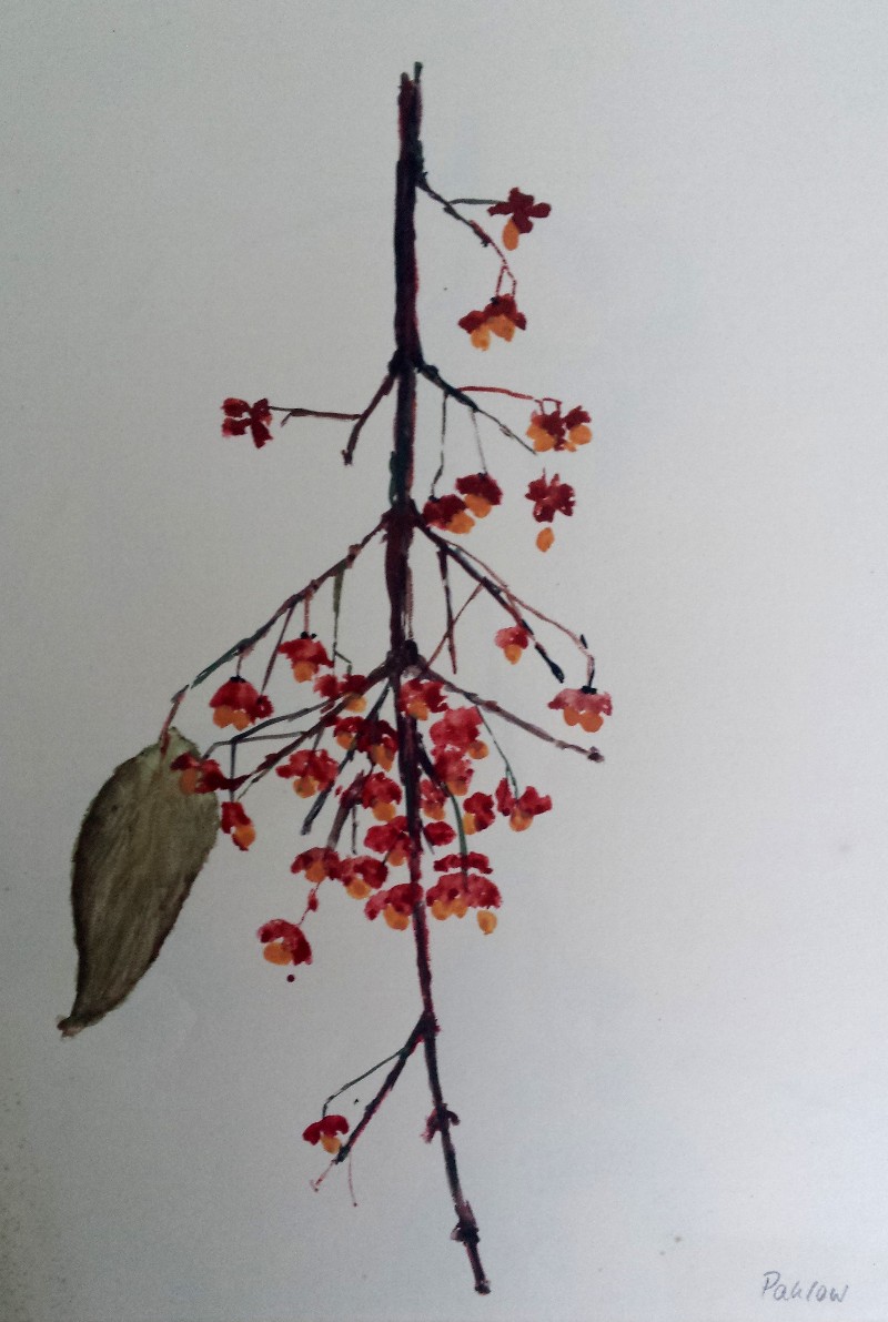 Aquarell Pflanzen Blumen _195418x