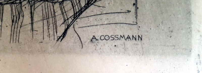 Cossmann Alfred 13x