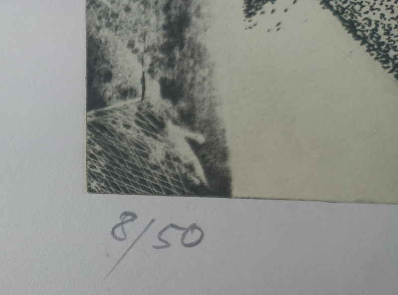 Joe Hackbarth 944853x