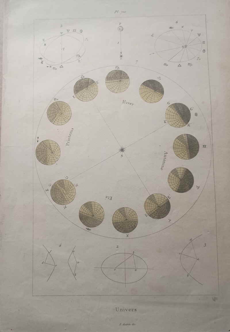 Guerin Meneville Felix Edouard Univers  Naturgeschichte Enzyklop�die 245160x