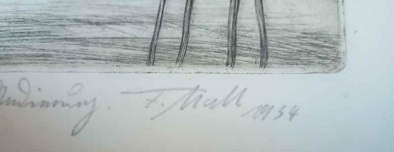 Mall Friedrich 256890x