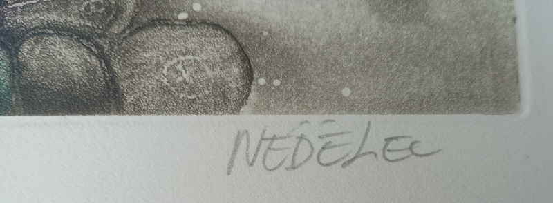Nedelec Michele 011272x