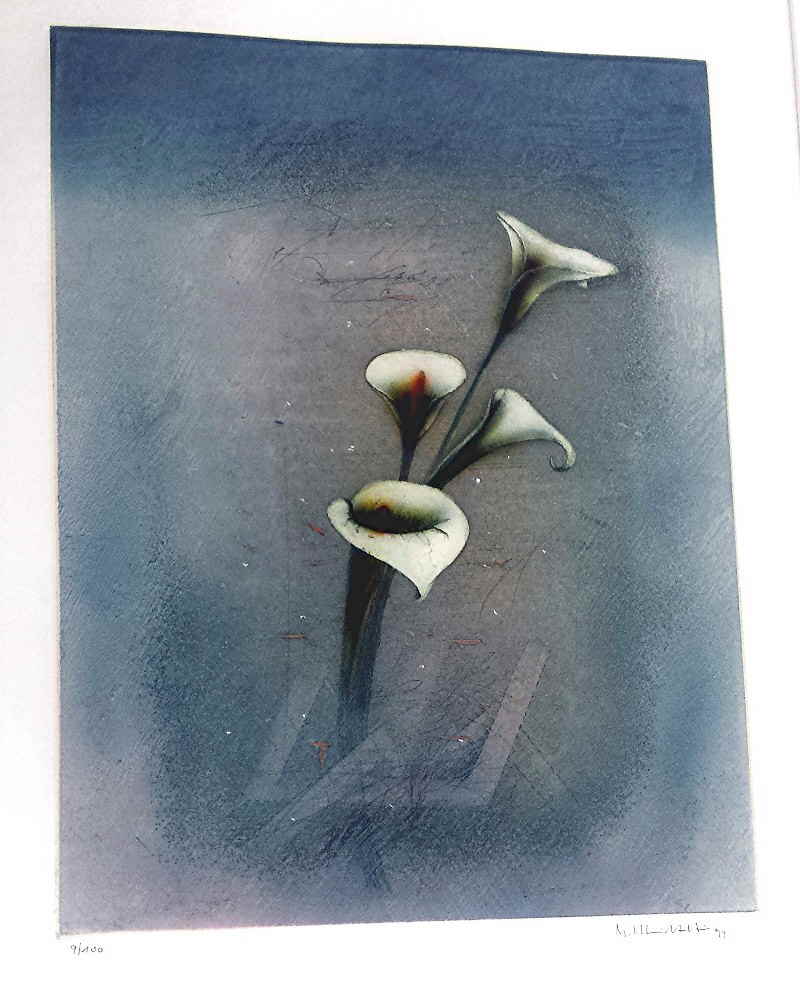 Schmidt - Stein Michael Farbradierung Calla _103817x