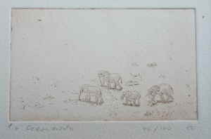 Erika von Czarnowski 513417d