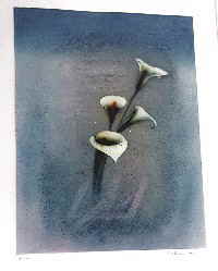 Schmidt - Stein Michael Farbradierung Calla  _103817d