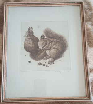 11 Eichhörnchen Dürer E.P. Hoffmann 092d 11 Eichhörnchen Dürer E.P. Hoffmann 092d