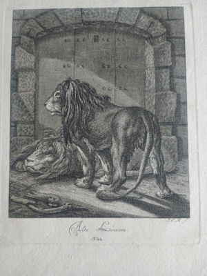 2 Alte Löwen Johann Elias Ridinger Kupferstich 4841549d 2 Alte Löwen Johann Elias Ridinger Kupferstich 4841549d