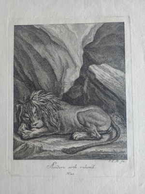 4 Andere art ruhend Johann Elias Ridinger Kupferstich 599d 4 Andere art ruhend Johann Elias Ridinger Kupferstich 599d