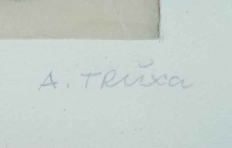 Anna Truxa 008587x