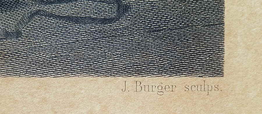 Burger Johann Benjamin Vautier 57x