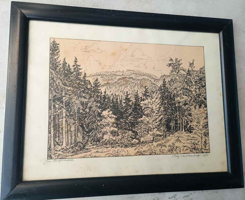 Hohenberger Hans 512279x