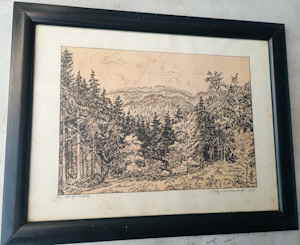 Hohenberger Hans 512279d